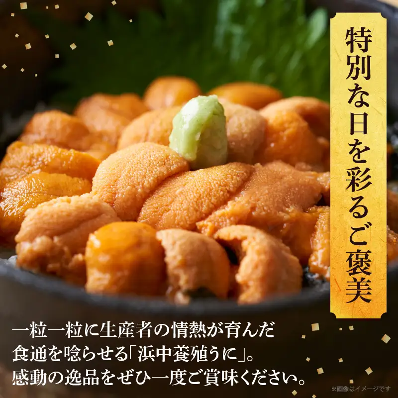 浜中産　養殖エゾバフンウニ(塩水パック)100g_H0009-115