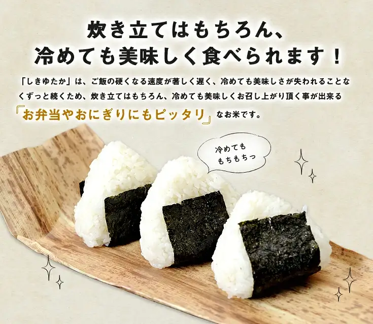 【新米】令和8年産　すっごいもちもち 「しきゆたか」 白米【10kg(5kg×2袋)】【C004W2】 近江米