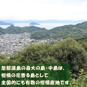 【2026年12月中旬頃から順次発送】中島産 温州みかん 小玉5kg ｜ ミカン 蜜柑 不揃い 柑橘 果物 フルーツ 松山 愛媛【NM0051】