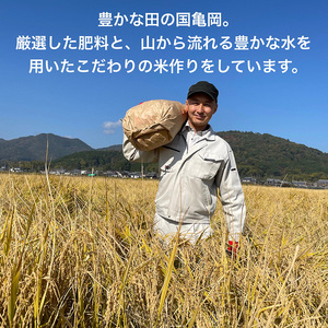 【定期便】【令和6年産先行予約】米 コシヒカリ 定期便 玄米 10kg×6カ月〈アグリにのうみ〉京都・亀岡産《令和6年産》 京都丹波産◇※北海道・沖縄・離島への配送不可※2024年10月中旬～11月中旬頃に順次発送予定