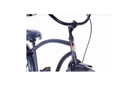 自転車 ビーチクルーザー 26インチ 組み立て不要 【Rainbow Products Japan】 Type-X スペシャル仕様 マットブラック