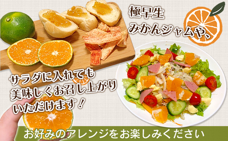 ＜天晴みかん 極早生 家庭用 約5kg＞ 温州ミカン 柑橘 果物 くだもの フルーツ 蜜柑 訳あり ワケアリ 自宅用 期間限定 季節限定 食べて応援 特産品 産地直送 ニコマル 株式会社笑丸 愛媛県 西予市【常温】『2026年9月下旬～10月中旬迄に順次出荷予定』AAN0024