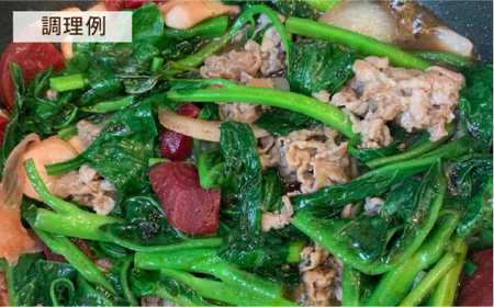 【 全3回 定期便 】糸島 そだち の にんにく ドレッシング × 3本 セット《糸島》【農香美人】[AAG021]