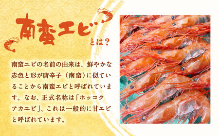 【11月頃発送予定】「南蛮エビ（甘エビ）」1kg 新鮮！県北寝屋漁港直送！ 1043001 