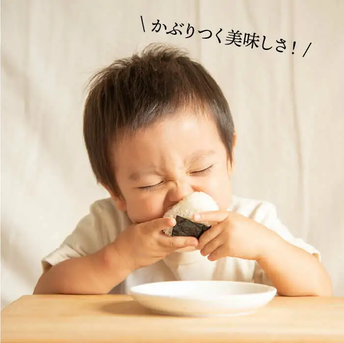 【全6回定期便】一番摘み 有明海産 焼き のり 50枚 ( 10枚 × 5袋 ) 博多 海苔 福岡  糸島市 / 博多海苔 [ACG007] のり ノリ