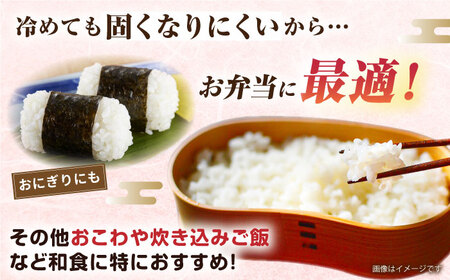 【 6回 定期便 】 ミルキークイーン 5kg 《糸島》 【玄米・精米専門店 新飼宗一郎商店】 [ADE005]