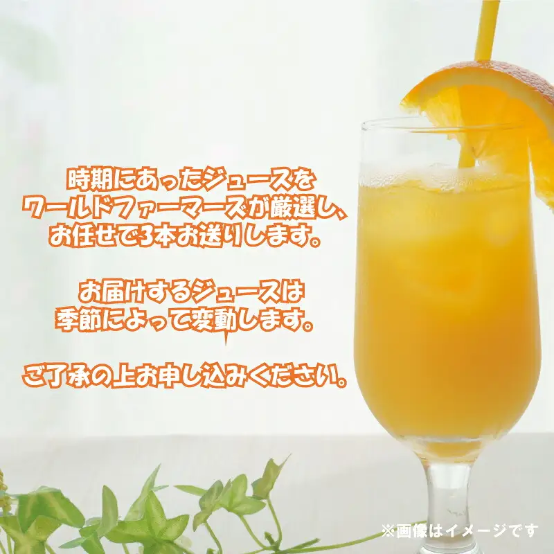 みかんジュース (720ml×3本) │ ストレート みかんジュース WF H012-024016