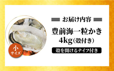ブランド牡蠣 「 豊前海一粒かき (しいだ小粒がき)」 小サイズ 4kg [ABAY003]