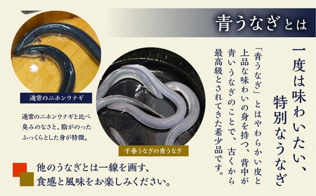 【定期便】幻の青うなぎ 蒲焼 2尾 全12回 定期便