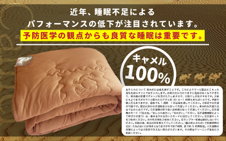 ＜京都府認定商品(チャレンジ・バイ)＞キャメル ライトウェイト掛けふとん(SL:シングルロング) 掛布団 布団 ふとん 保湿 安眠 綿 ニット ウール ラクダ 【uj-CX001】【大恵ウール】