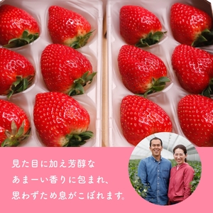 （冷蔵）【１月発送分】イチゴ 奈良県産高級ブランド品種「古都華」デラックス（270g×２パック） ／ ストロベリー ことか 上田農園 苺 いちご 果物 フルーツ 甘い 奈良県 田原本町
