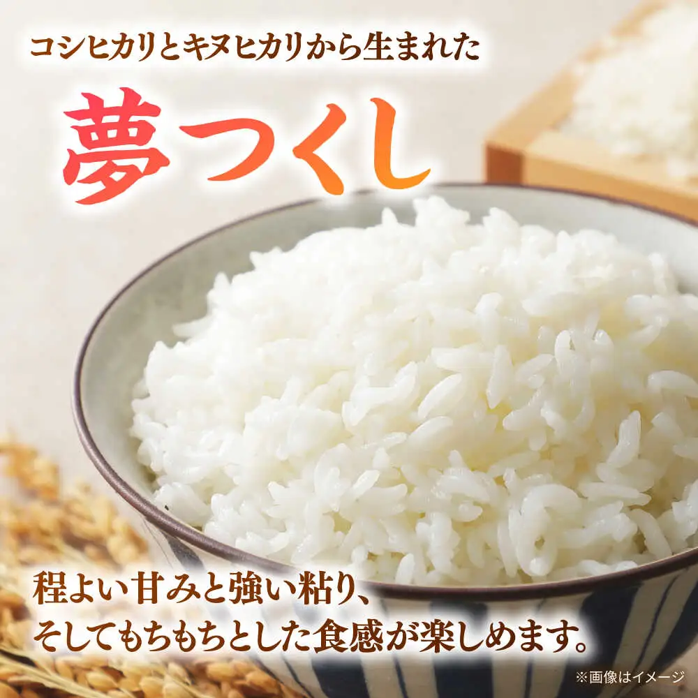  桂川町産 白米 4kg と しょうがの佃煮セット [ADAI001] 米 佃煮