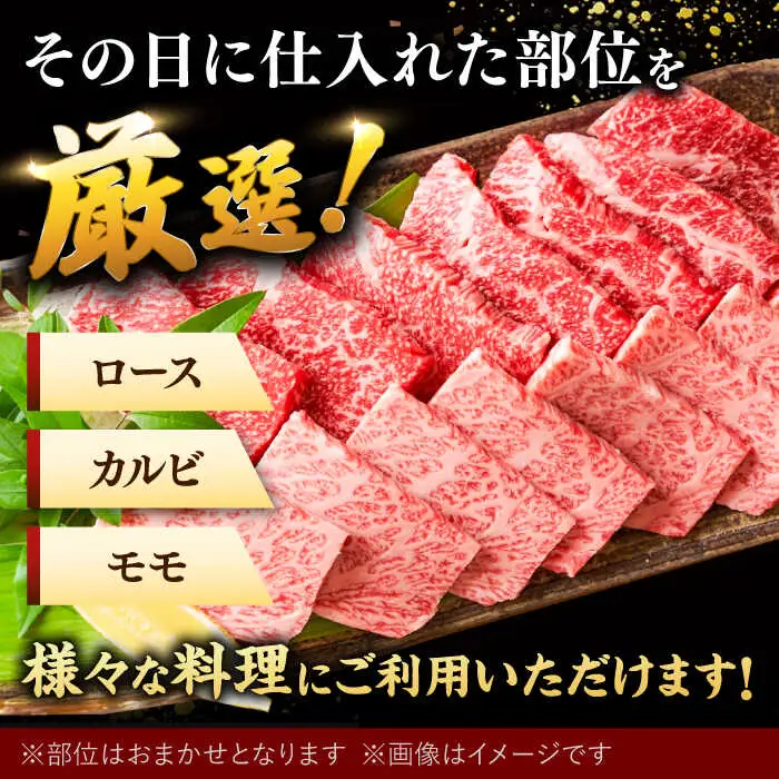 博多和牛 焼肉 用 500g 国産 桂川町/株式会社 MEAT PLUS [ADAQ009] 和牛 焼肉 焼き肉 BBQ 冷凍 牛肉