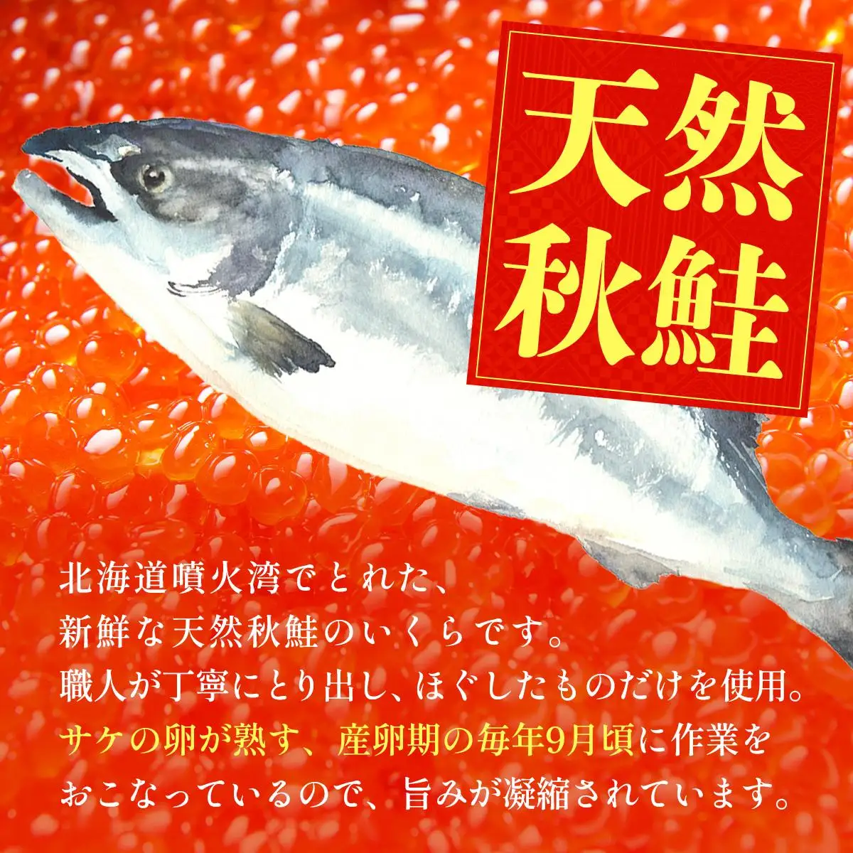 北海道 噴火湾産 いくら醤油漬け 200g いくら イクラ 秋鮭 鮭 さけ 国産 天然 魚卵 海産物 海鮮 魚介類 丼 軍艦 寿司 自家製 醤油 しょうゆ 昆布 冷凍 山村水産 送料無料