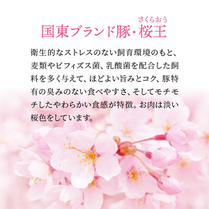国東ブランドポーク「桜王」の小間切れ2kg _1102R