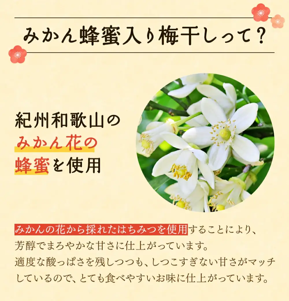 紀州みかん蜂蜜入り梅干（塩分約5％） 400g / はちみつ梅干し 和歌山 田辺市  みかん ハチミツ 梅干し【mtz016-1】 　