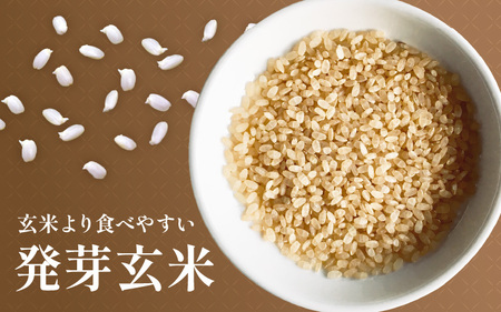 【令和7年産】発芽玄米 ミルキークイーン 3kg 無洗米 米 玄米 [A-29106]