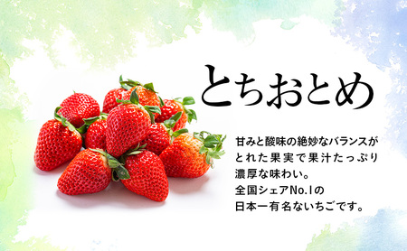 【先行予約】いちご 味くらべ紅白いちご 3種 4パック ※2026年12月～発送