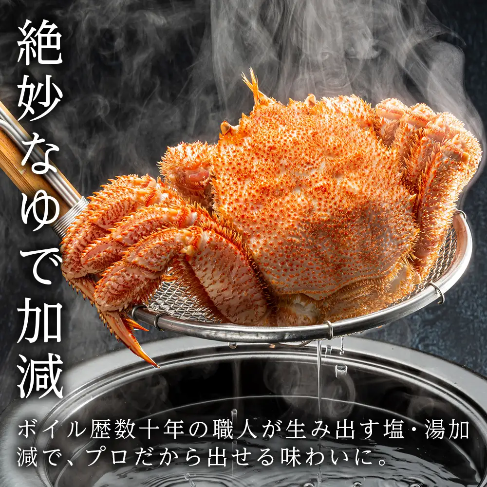 北海道産【朝ゆで】毛ガニ（500g前後）2尾 期間限定！＜かにのマルマサ＞ かに 毛がに カニ 千歳 北海道 海鮮