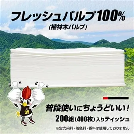 群馬クレインサンダーズ応援ソフトパックティッシュ 400枚(200組)×60パック　9/30受付終了_ティッシュ ティッシュペーパー ソフトパック まとめ買い ソフト 箱なし 群馬県 太田市 ふるさと_【配送不可地域：離島・沖縄県】【1422589】
