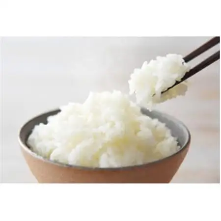 富山のお米「富富富(ふふふ)」 5kg_ 精米 米 _【1292296】