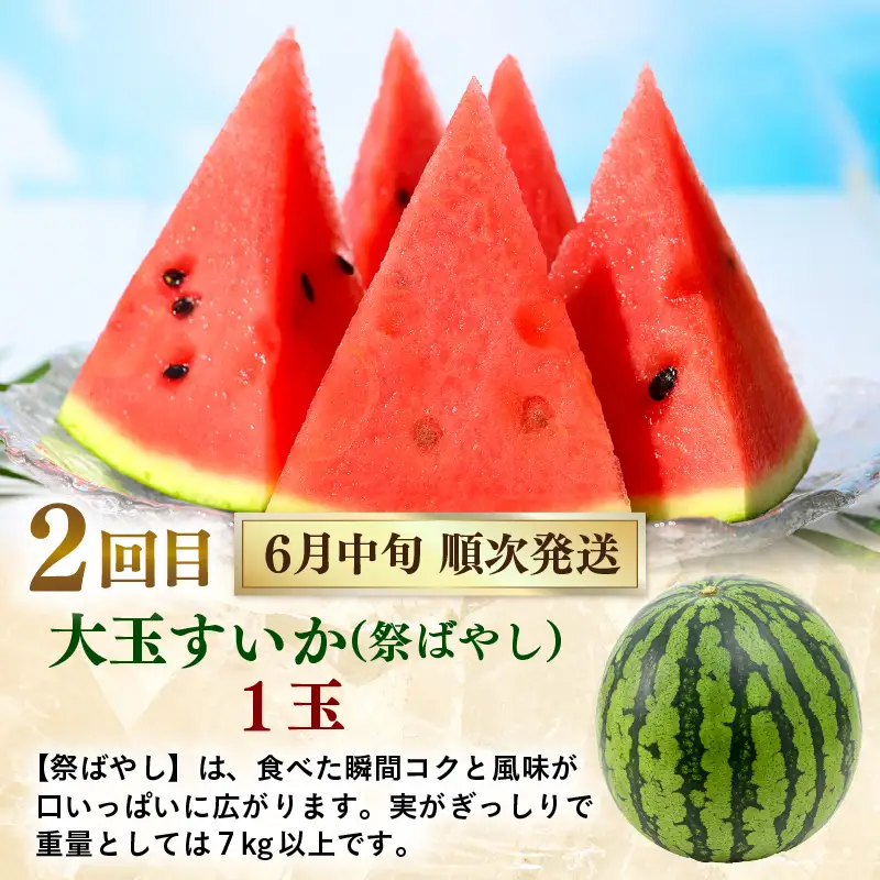 【先行予約】《定期便全5回》フルーツ大満足定期便 ／ すいか マスクメロン 高級メロン 大玉 果物 フルーツ 夏 ギフト 農家直送 ※2027年6月上旬以降発送  [aw065-d001]