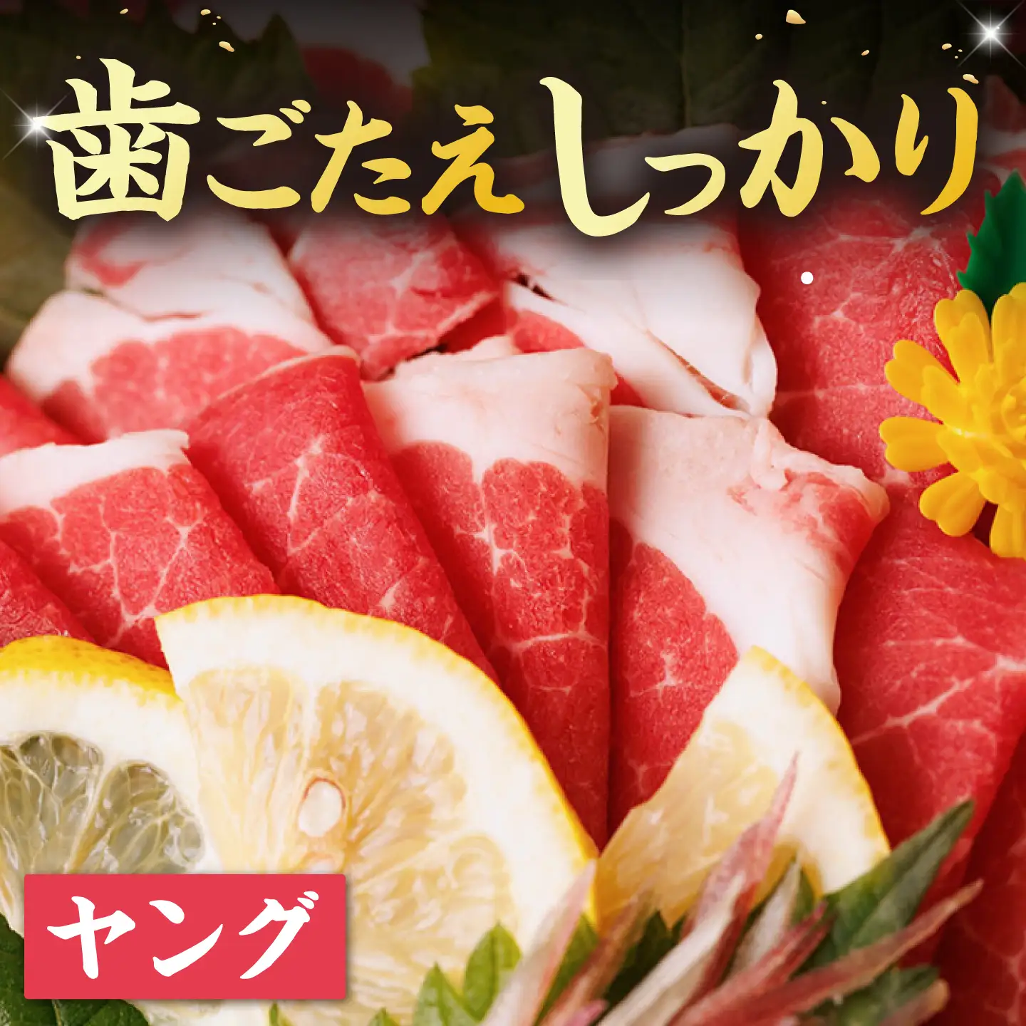 ＼生活応援よか値キャンペーン／ヤング馬刺し 計300g 熊本馬刺し[ZBL012-CP]