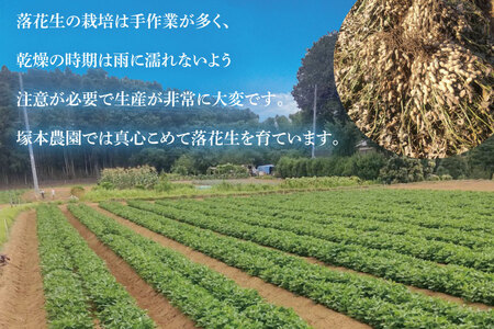 【2026年11月中旬より順次発送】なめがたの煎落花生　190g×5袋入り(CS-3)