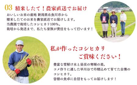 米【令和7年産】甘みあふれるコシヒカリ 2kg 食味鑑定士お墨付き 新潟県糸魚川産 農家自慢の逸品"NUKUMORI" 特別栽培米 減農薬 令和7年産 百姓や伝六【ｺｼﾋｶﾘ こしひかり】 