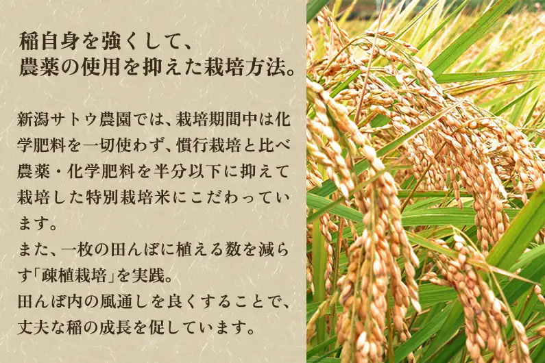 【令和8年産新米先行予約】化学肥料不使用 従来コシヒカリ 【里の蔵10kg】 《10月上旬～順次出荷》 新潟県産 新潟産 従来品種 特別栽培 従来品種 有機肥料 精米 米 お米 加茂市 新潟サトウ農園