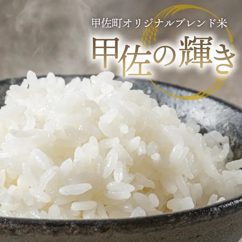 無洗米 ブレンド米 甲佐の輝き 10kg 訳あり 新米 令和8年産 11月より新米発送 【価格改定XQ】