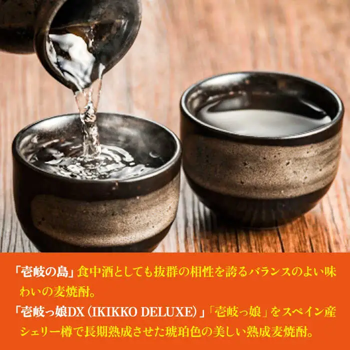 【高島屋選定品】 麦焼酎 〈壱岐の蔵酒造〉壱岐っ娘DX・壱岐の島セット [JFJ013]