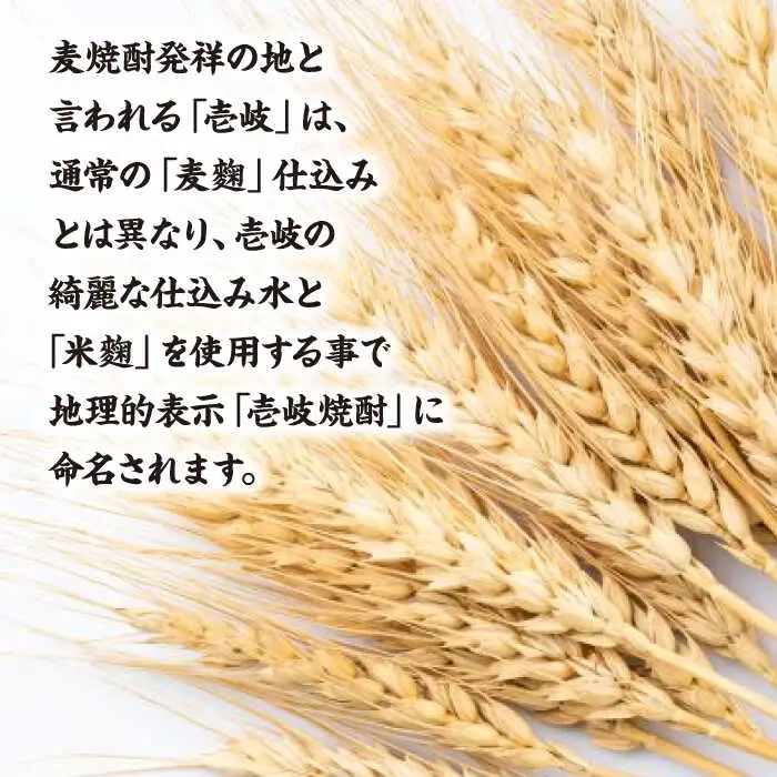 【高島屋選定品】 麦焼酎 〈壱岐の蔵酒造〉壱岐っ娘DX原酒・二千年の夢セット [JFJ014]