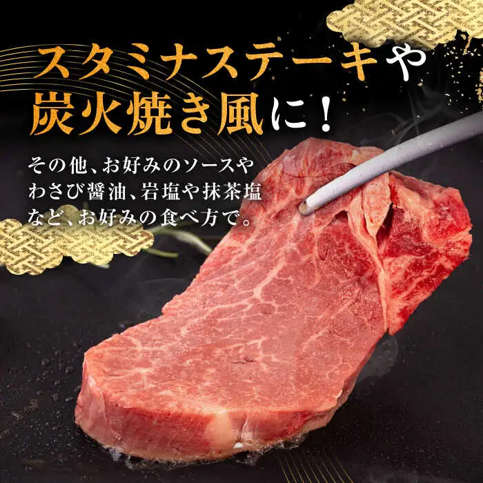 壱岐牛 シャトーブリアン 120g×3枚《壱岐市》【中津留】[JFS006] 肉 牛肉 和牛 ヒレ ステーキ ヒレステーキ 3枚 冷凍配送 48000 48000円 九州