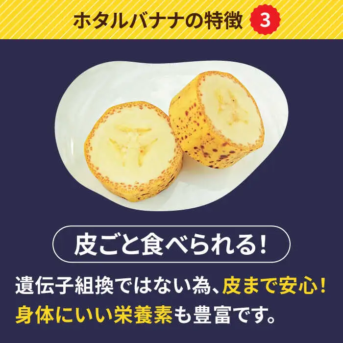 【テレビで話題！】【とても希少な国産バナナをあなたへ！】hotaru バナナ 2本 / ばなな 果物 フルーツ / 南島原市 / hotaru [SFA001]