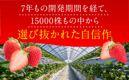 【2027年1月発送開始】いちごさん（450g×2パック） / フルーツ 苺 / 佐賀県 / JAからつ 唐津うまかもん市場 [41ABCA002]