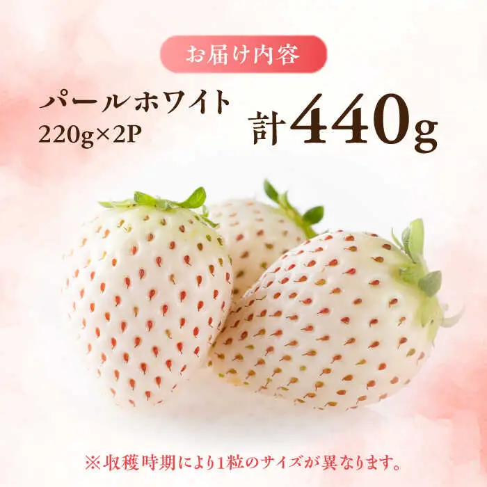 【2027年1月中旬より順次発送】佐賀県産 パールホワイト 約220g×2パック / いちご 果物 / 佐賀県 / かわさきいちご [41ASBJ003]