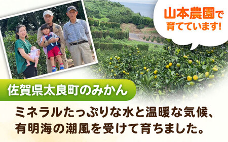 【2026年9月中旬以降発送】★小玉★早熟みかん 計3kg（2.6kg＋400g傷み保証分） / 佐賀県 / 山本農園 [41ATBT005]