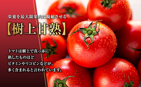 トマト 定期便 3ヶ月 ルージュ フルーツトマト 1kg 野菜 甘い 定期 3回