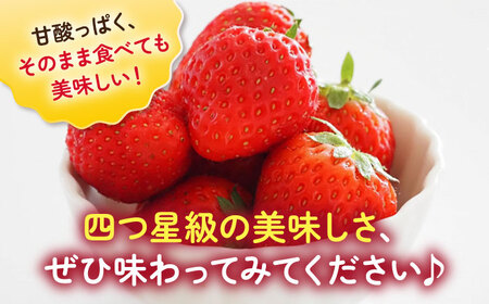 【2027年1月以降順次発送】よつぼし（220g×2パック） / 佐賀県 いちご 苺 いちご / 岸川農園 [41ASAG038]