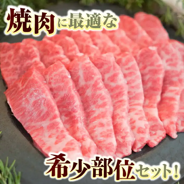 至福の切り落とし500gと希少部位焼肉300g [41ASAA095]