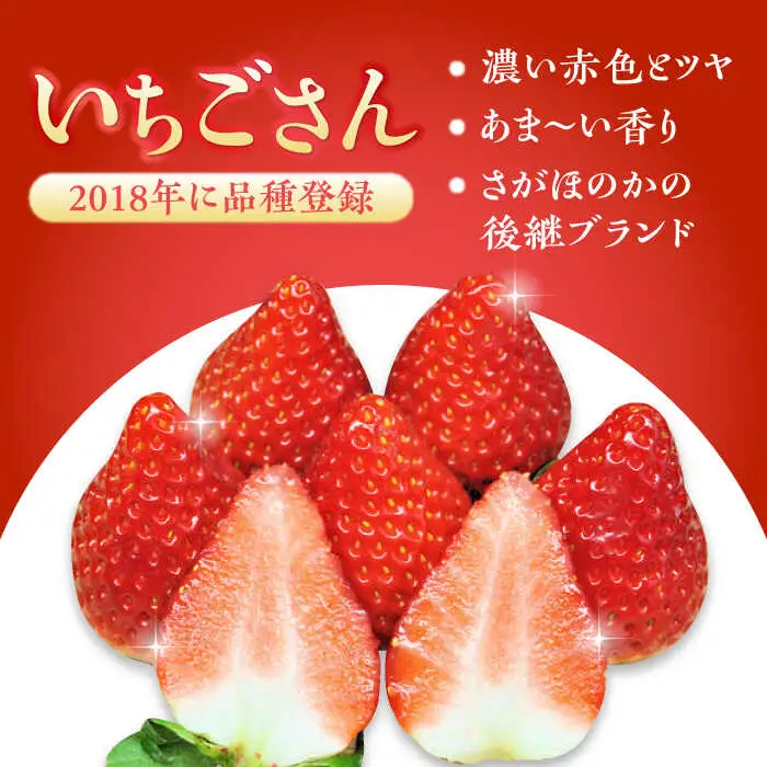 【全4回定期便】いちごさん・パールホワイト / 佐賀県 / かわさきいちご [41ASBJ005]