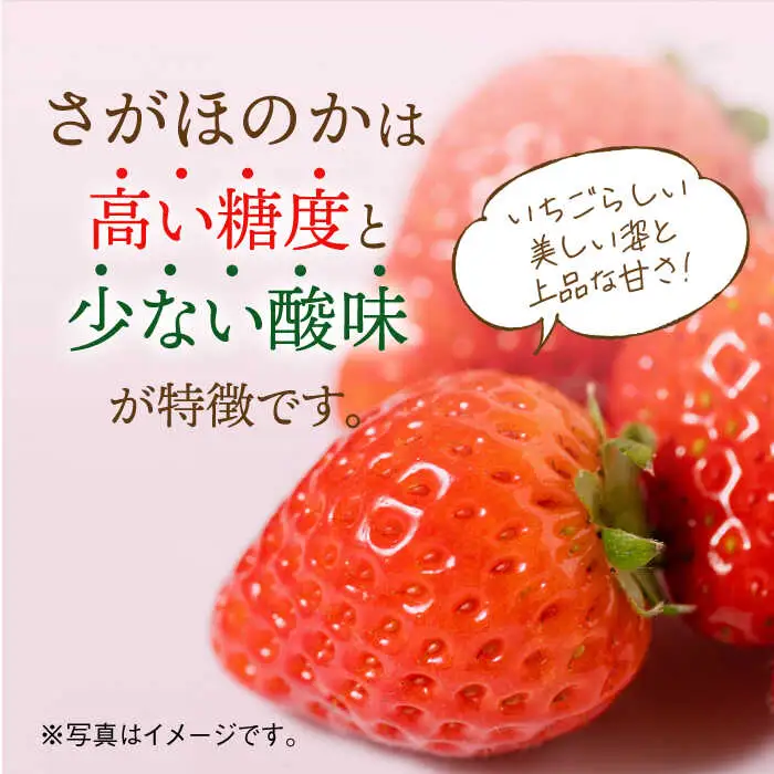 【2027年1月より順次発送】恋みのり・さがほのか 各220g 詰め合わせセット / 佐賀県 / 鐘ヶ江農園 [41ASBK008]