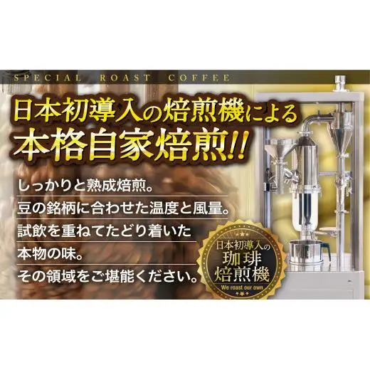 必ず出荷日に自家熟成焙煎ブルーマウンテンNo.1豆(200g)【3回定期便】