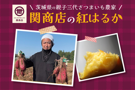 【期間限定】 紅はるか 食べ比べセット（焼き芋3kg・干し芋660g）関商店 焼芋 やきいも 焼いも ほしいも 干芋 干しいも べにはるか ベニハルカ 食べくらべ 62-B ＜2027年4月20日まで受付＞