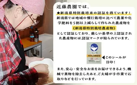【精米】新潟県産コシヒカリ10kg（特別栽培米）近藤農園