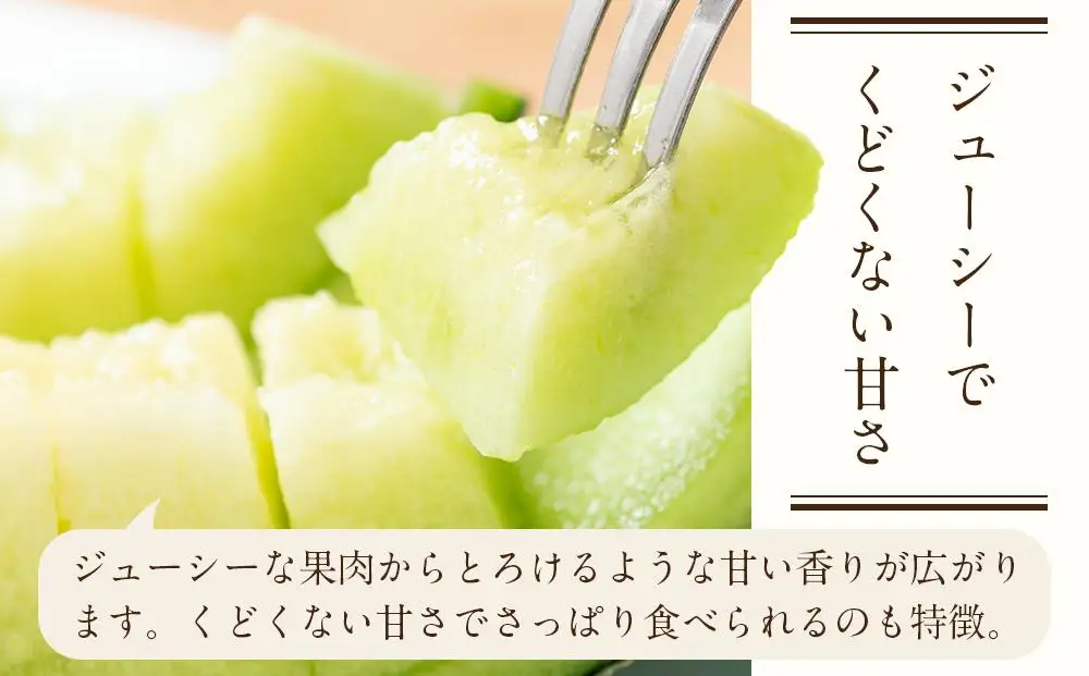 【令和8年発送分】KOEDO MELON　真実－manami－　2玉 ／ メロン 青肉 ギフト 埼玉県