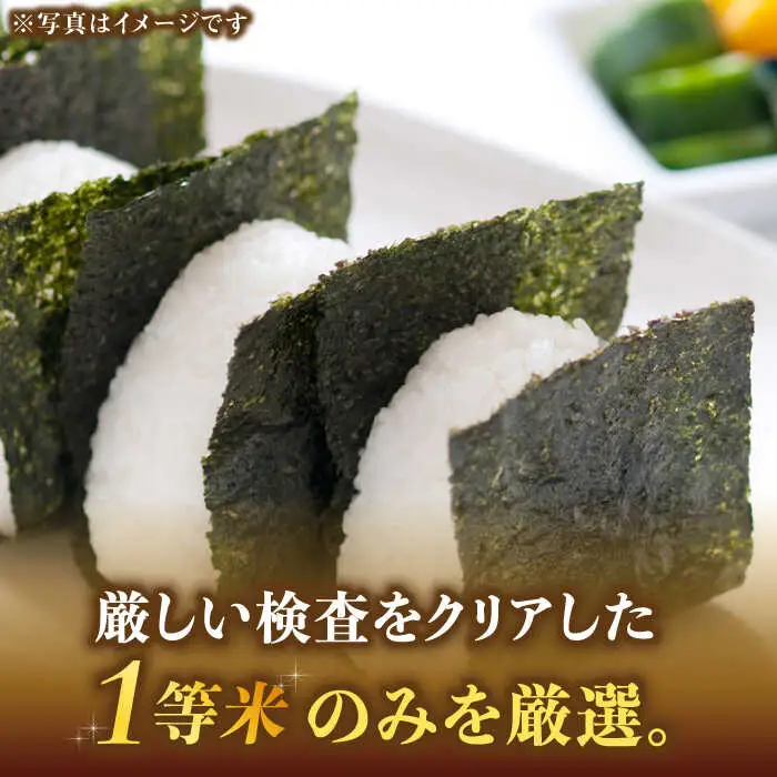 【令和7年産】福岡県産ブランド米「元気つくし」白米 20kg (5kg×4袋)【2025年11月以降順次発送】 [ABDD005]