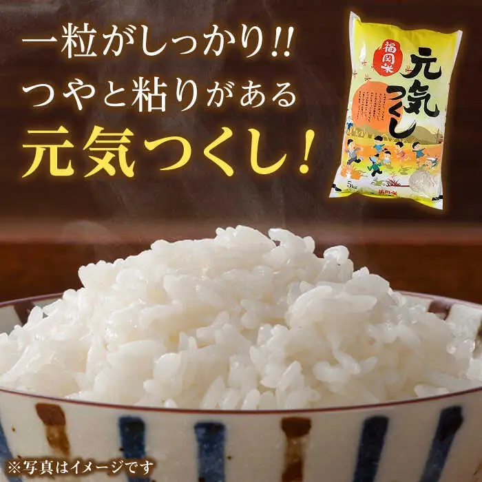 【先行予約】【令和7年産】福岡県産米食べ比べ「夢つくし」と「元気つくし」セット 無洗米 計20kg【2025年11月以降順次発送】 [ABDD016]