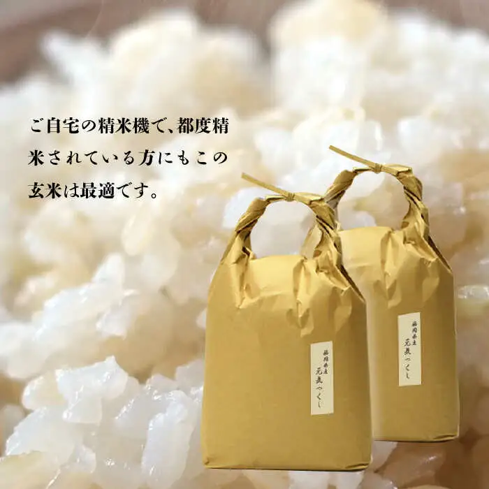 米 【特A】「元気つくし」5kg×2袋 [10kg] [玄米] [ABDF031] 米 ご飯 ごはん こめ コメ おにぎり